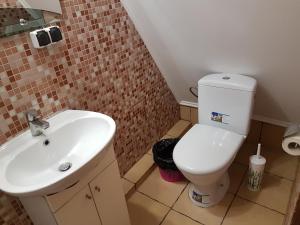 Łazienka z białą toaletą i umywalką w obiekcie Kozatskiy Dvir w mieście Stryj