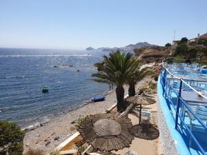 a beach with an umbrella and palm trees next to the water at CASA BLANCA Apartments SAN JOSE in San José