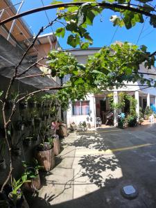 uma casa com plantas na berma da estrada em Morada da Marta em Guarda do Embaú