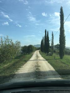 Petritoli的住宿－Agriturismo Serena -Petritoli-，两边有树木的土路