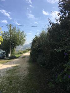 eine unbefestigte Straße mit Sträuchern an der Seite in der Unterkunft Agriturismo Serena -Petritoli- in Petritoli