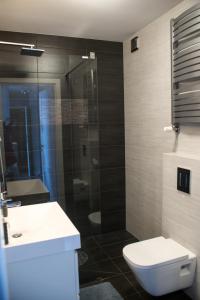 a bathroom with a toilet and a glass shower at Apartament Nadjeziorna in Ełk