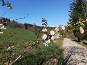 Fotografie z fotogalerie ubytování Apartmán Stream, Rokytnice nad Jizerou v Rokytnici nad Jizerou