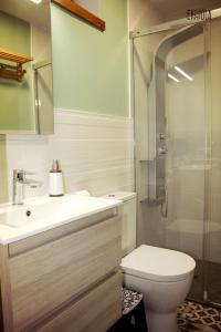 La salle de bains est pourvue de toilettes, d'un lavabo et d'une douche. dans l'établissement Ekhiola, à Ochagavía