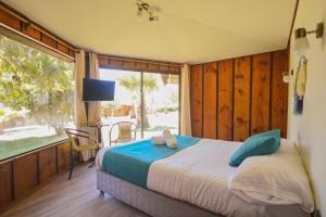 Un dormitorio con una cama con un osito de peluche. en Pao Pao Lodge Algarrobo, en Algarrobo 27 fotos más