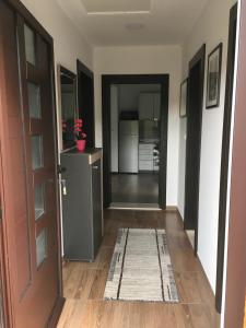 Kuchyň nebo kuchyňský kout v ubytování Apartman I&M