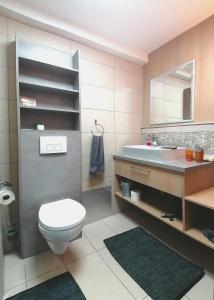 a bathroom with a toilet and a sink and a mirror at Business Apartments in Hohenems