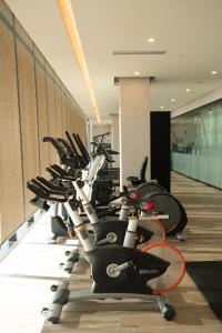 Fitness centrum a/nebo fitness zařízení v ubytování QUARTZ HOTEL & SPA