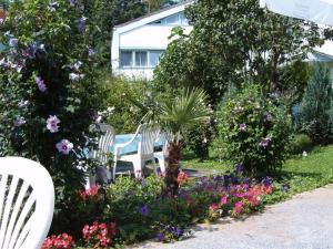 Zahrada ubytování Hotel Park Eden