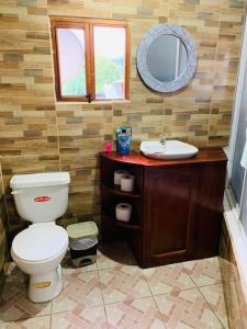 Baeza的住宿－Hostal La Casa De Rodrigo，一间带卫生间、水槽和镜子的浴室