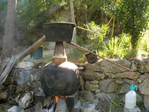 Imagem da galeria de Quinta Do Circo - Serra Da Estrela - Turismo Rural em Cortes do Meio