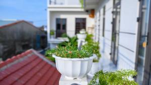Gallery image of Hoi An Garden Sea Homestay in Hoi An +71 photos