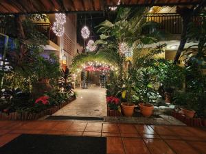 un jardin intérieur avec des plantes dans un bâtiment dans l'établissement Humuya Inn, à Tegucigalpa