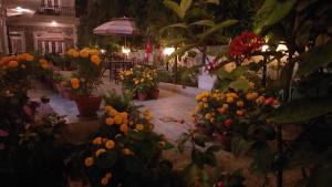 Jardí fora de Harvest Moon Guest House