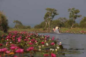 a couple of people in the water with flowers at Baan​ Tonlamphu​ Pakpra in Phatthalung