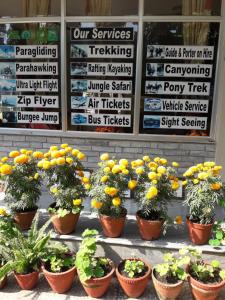 Foto de la galeria de Harvest Moon Guest House a Pokhara