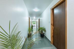 库尔卢Hotel Kullu Valley的相册照片