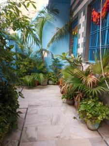 a courtyard with plants in a building at Sunita homestay in Agra
