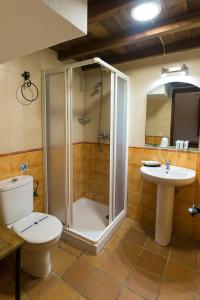 a bathroom with a shower and a toilet and a sink at Hostal Rural La Fonda Del Rocio in El Rocío