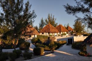Κήπος έξω από το Salary Bay +43 φωτογραφίες
