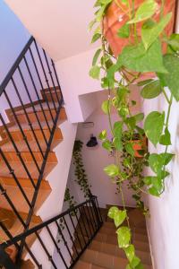 Uma varanda ou terraço em Hostal Rural La Fonda Del Rocio