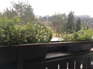 A balcony or terrace at Appartement Hochkönigreich