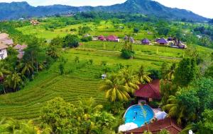 an aerial view of a resort with a pool in a field at Cepik Villa Sidemen in Sidemen