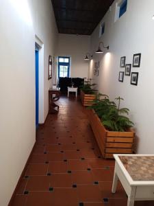 Fotografie z fotogalerie ubytování Hotel Pine Retreat Mallroad v destinaci Mussoorie
