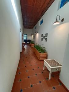 Fotografie z fotogalerie ubytování Hotel Pine Retreat Mallroad v destinaci Mussoorie