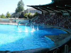 a pool of water with birds in a stadium at Residence Veliero in San Mauro a Mare