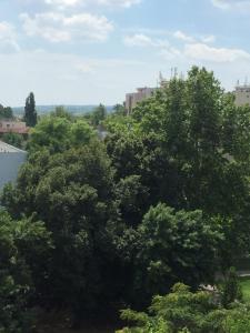 Príroda v okolí apartmánu