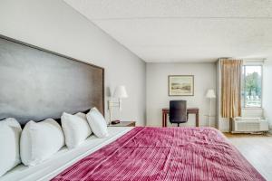 a bedroom with a large bed with a red rug at OYO Hotel Burlington South in Burlington