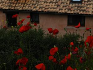 Fotografie z fotogalerie ubytování Apartamentos El Brezo v destinaci Albarracín