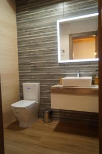 a bathroom with a toilet and a sink at Puente viejo de Buitrago casa Fresno in Buitrago del Lozoya