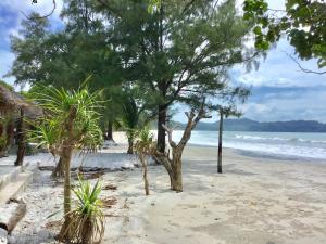 a sandy beach with trees and the ocean at Ailay in Ko Phayam