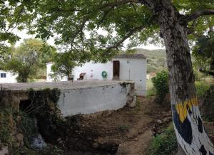 A garden outside Molino de Simón
