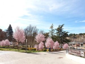 una calle con árboles rosas y un cartel en la calle en Gran Hotel Botánicos en Teruel