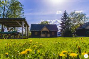 an old house in a field of grass with flowers at Siedlisko Sobibór in Sobibór +195 photos