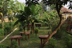 Zahrada ubytování Bardia Eco Friendly Homestay