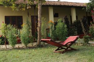 Zahrada ubytování Bardia Eco Friendly Homestay