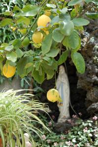 Foto da galeria de La Durlindana B&B em Acireale