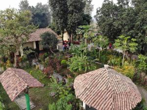 an aerial view of a garden with a house at Bardia Eco Friendly Homestay in Bhurkīā