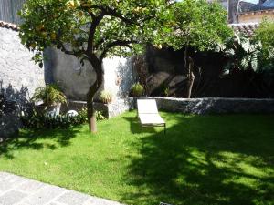 a white chair sitting in the grass under a tree at La Durlindana B&B in Acireale