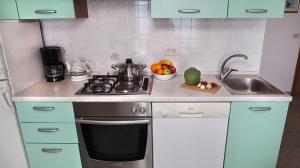 Кухня или мини-кухня в Apartment Villa Lidija
