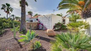 una casa blanca con palmeras y plantas en Villa Sávila, en Caleta de Fuste