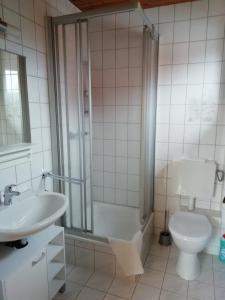 ein Bad mit einer Dusche, einem WC und einem Waschbecken in der Unterkunft Ferienwohnung 40qm Gernrode in Gernrode - Harz