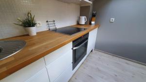 Kuchyň nebo kuchyňský kout v ubytování P.D.S APARTAMENT