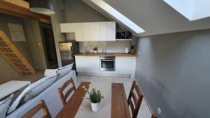 Kuchyň nebo kuchyňský kout v ubytování P.D.S APARTAMENT