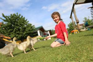 Altri animali domestici presso l'agriturismo o nei dintorni