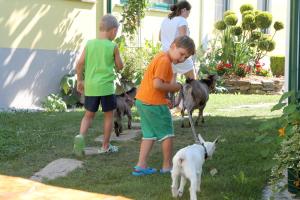 Ospiti di Kerndlerhof con animali domestici